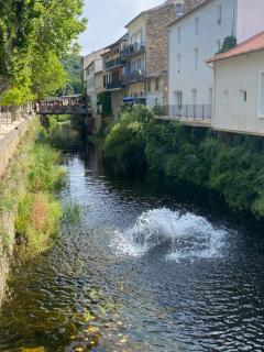 F3 avec jardin - Collobrières - 8