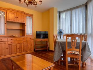Coqueto apartamento centro Santander - Santander - 1