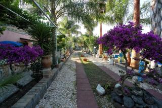 Holiday Maison Villa Arci - Giardini Naxos - 9