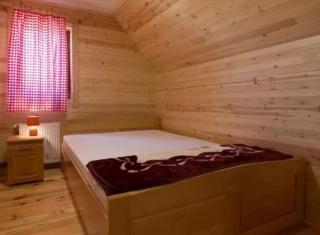Planinske kuće Anika Tara minimum 2 noćenja - Mitrovac - 9