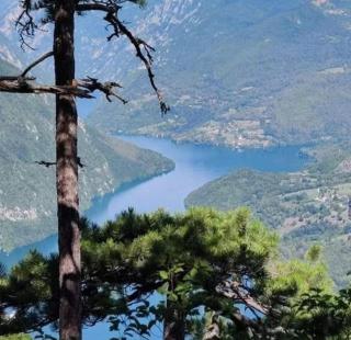 Planinske kuće Anika Tara minimum 2 noćenja - Mitrovac - 5