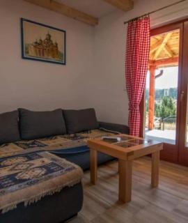 Planinske kuće Anika Tara minimum 2 noćenja - Mitrovac - 1