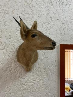 Vredefort Hotel - Vredefort - 1