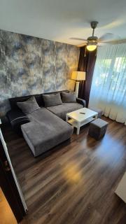 Mike Apt - Baia Mare - 9