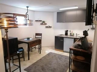 Studio Apartment Speidel - Rottenburg - 0