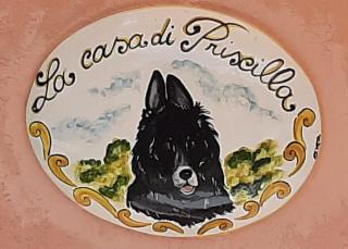 La casa di Priscilla - Bucine - 5