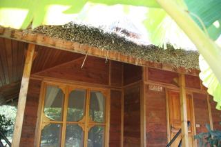 Arcadia Hotel - Çıralı - 9