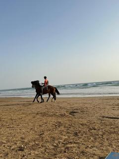 Cozy appartment with privative terrasse - Taghazout Bay - Tamraght Ouzdar - 3