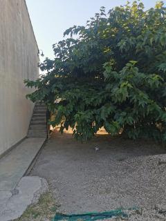 Villa dans le Sud - Lunel - 5