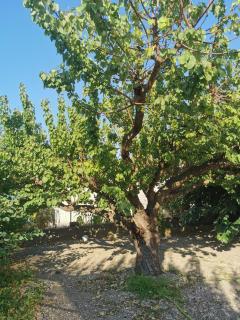 Villa dans le Sud - Lunel - 1
