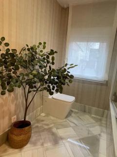 Apartamentos BEJAR - MUSGO - Béjar - 6