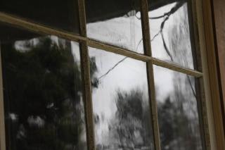 The Workers Cottage - Tenterfield - 4