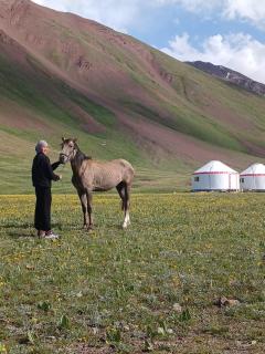 Nice Yurt Camp - Sary-Mogul - 0