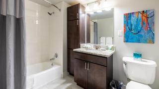 Luxury Apt Near Train Station - BSC-207L - White Plains - 1