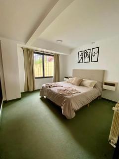 Departamento Céntrico Belgrano 2 - San Carlos de Bariloche - 8