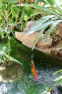 Banjai Garden Guesthouse - Chiang Mai - 6