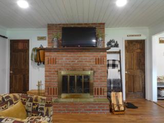 Mossy Bear Retreat - Chestertown - 4