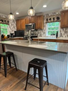 Mossy Bear Retreat - Chestertown - 3