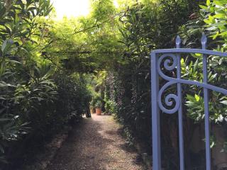 Un jardin près de la plage - 8