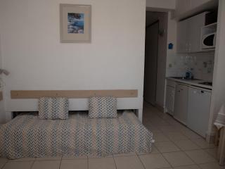 Studio cabine 4 pers, plage à 10m, parking, clim, WiFi, animaux acceptés - FR-1-803-63 - Le Lavandou - 6