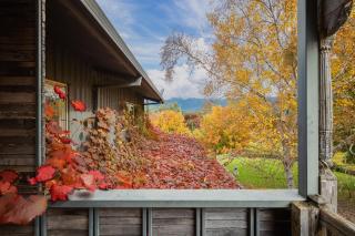 Peggy Adelaide Suite - 5