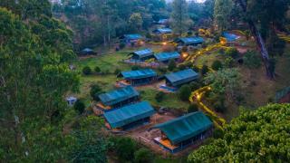 Nature Zone Jungle Resort - Munnar - 8