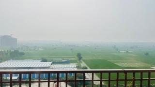 Vickysoho - Zirakpur - 8