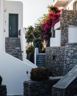 Pelican Bay Hotel - Platis Gialos - 5