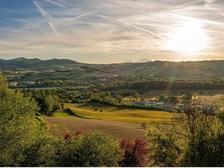 tenuta i musi lunghi - Lesignano deʼ Bagni - 9
