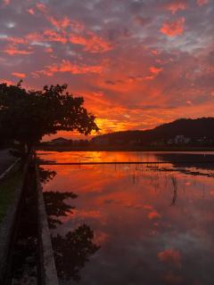 Juan Teppan-yaki B&B - 7