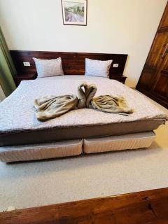 Apartment and Luxury Spa Bansko incl wellness - Bansko - 5