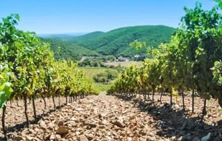 2 Bedroom Nice Home In Cabrerolles - Cabrerolles - 4