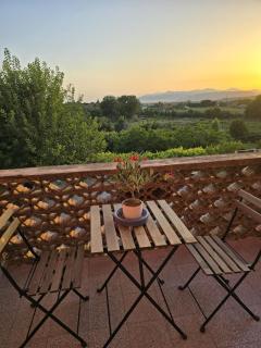 Tenuta degli Ulivi - Dimora Contadina - 1