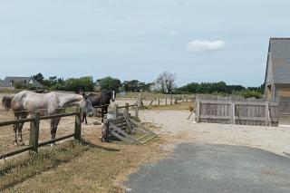 Le gîte de la Ferme - Portbail - 2
