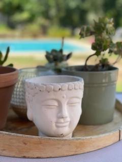 Suite Désistement - Villa 14 Valbonne - Piscine privée - 4