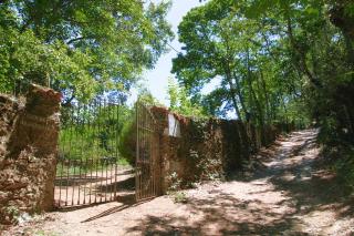 Huerto Fernandito by SIERRA VIVA - Castaño de Robledo - 7