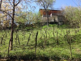 guliko's home - - 0
