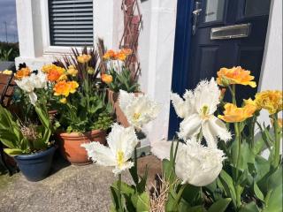 Hyem at Cullercoats - Cullercoats - 5