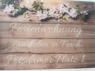 FeWo Landleben in Ferch - Schwielowsee - 0