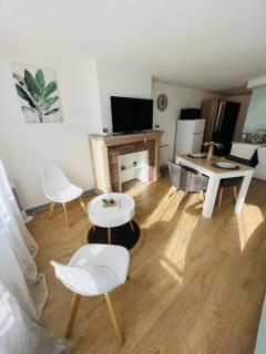 Grand Studio -Le François II - Proche Centre ville - Limoges - 1