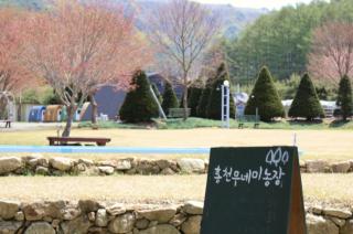 Hongcheon Munemi Farm - 0
