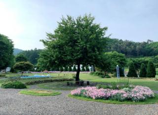 Hongcheon Munemi Farm - 3