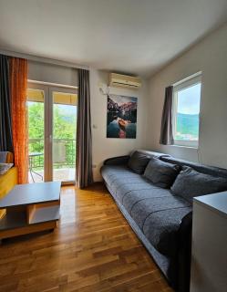 Studio Nena Lux - Sokobanja - 9