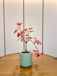 Hotel Ganwoljae - Ulsan - 6