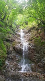 Villa Oğuz Relax - 3