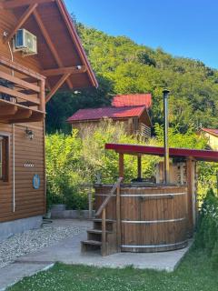 Casa Favorit - Costeşti - 9
