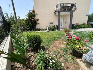 Apartmani Dolores - 1