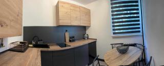 Loft Apartment Polanica Zdrój - Polanica-Zdrój - 2