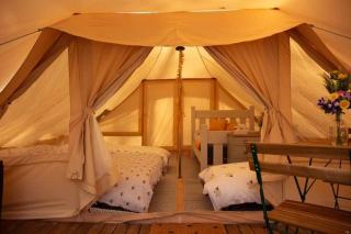 Secret Wood Glamping - 2