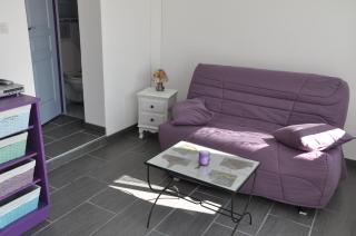 Studio indépendant dans villa avec piscine à Gap - Gap - 5